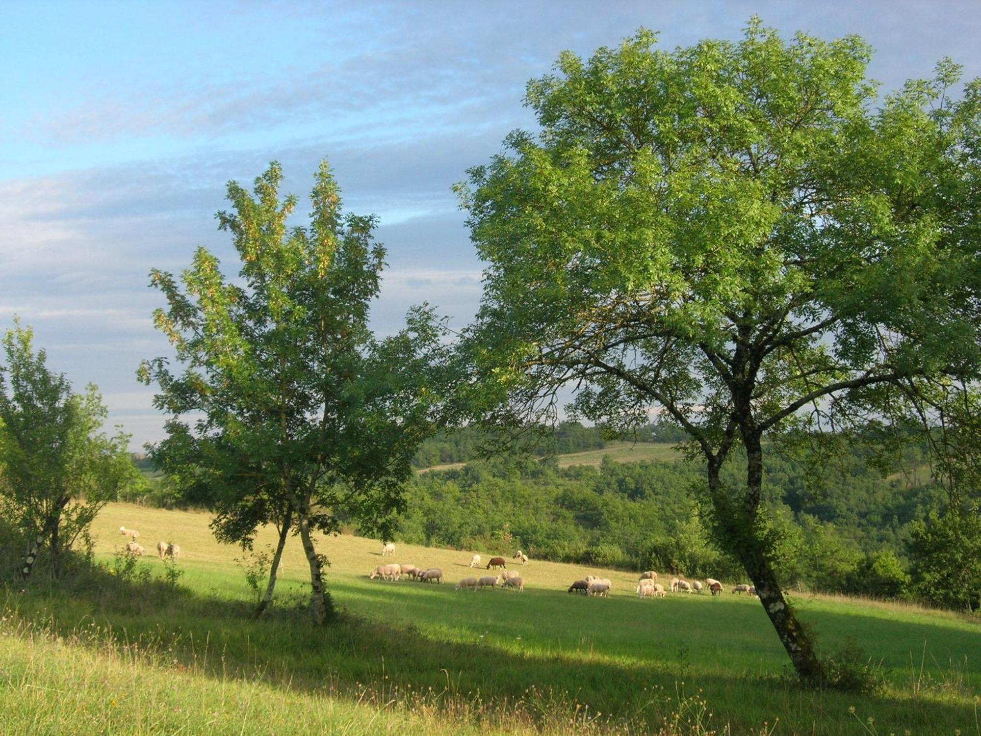 Les Hauts D'Albas Albas  Cameră foto