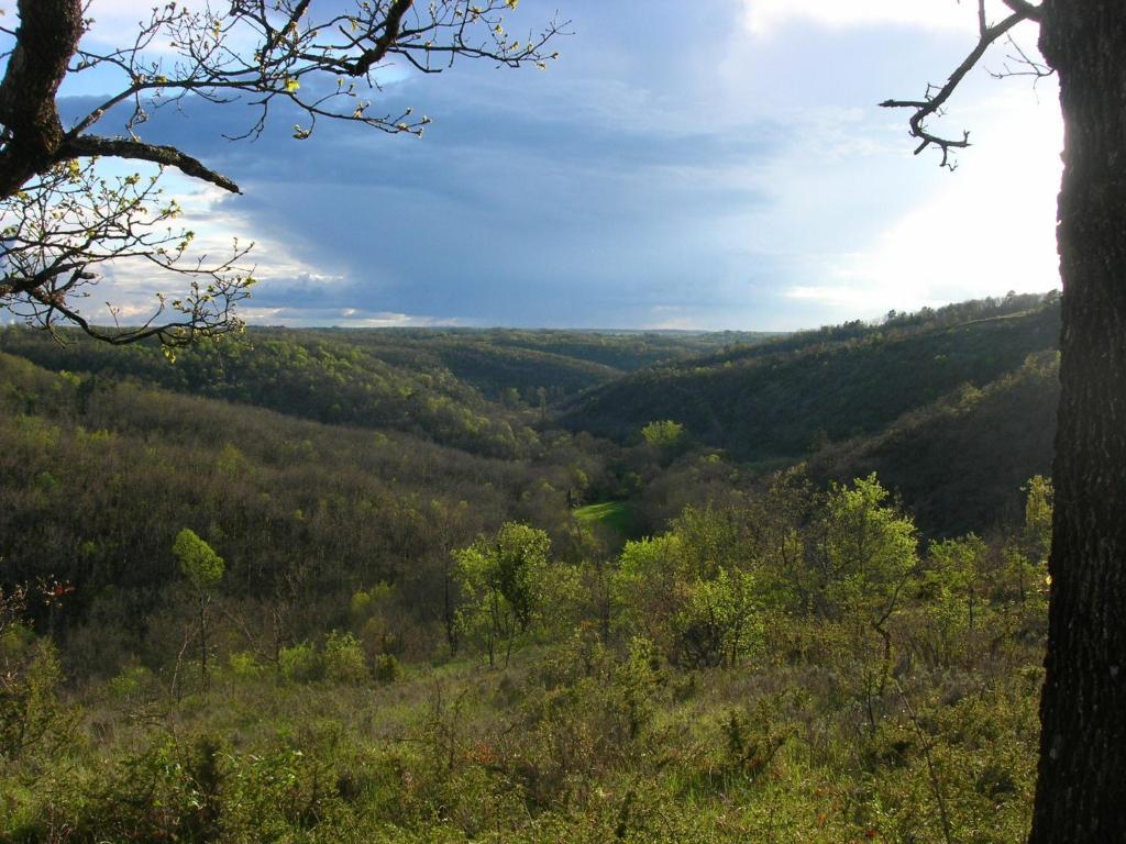 Les Hauts D'Albas Albas  Cameră foto